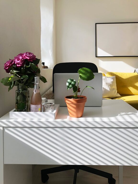 Tips for Creating a Cozy and Productive Home Workspace