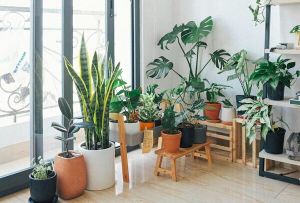 Simple Ways to Create a More Sustainable Home Environment